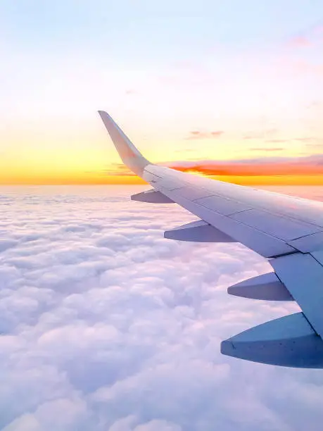 SAAM VERSPIEREN GROUP